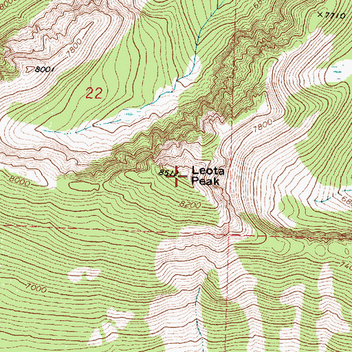 Topographic Map of Leota Peak, MT