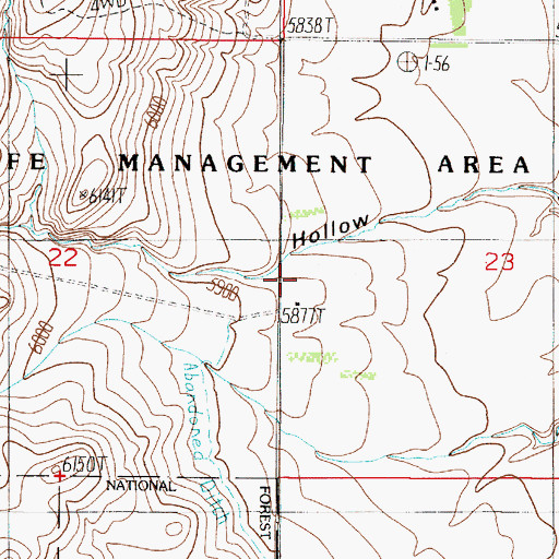 Topographic Map of Lichte Ranch, MT