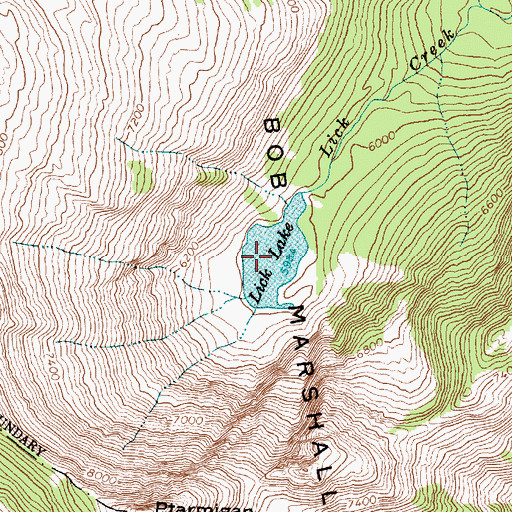 Topographic Map of Lick Lake, MT