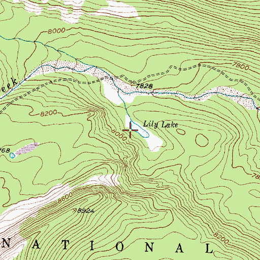 Topographic Map of Lily Lake, MT