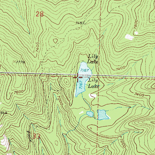 Topographic Map of Lily Lake, MT