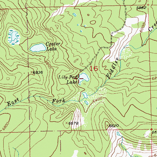 Topographic Map of Lily Pad Lake, MT