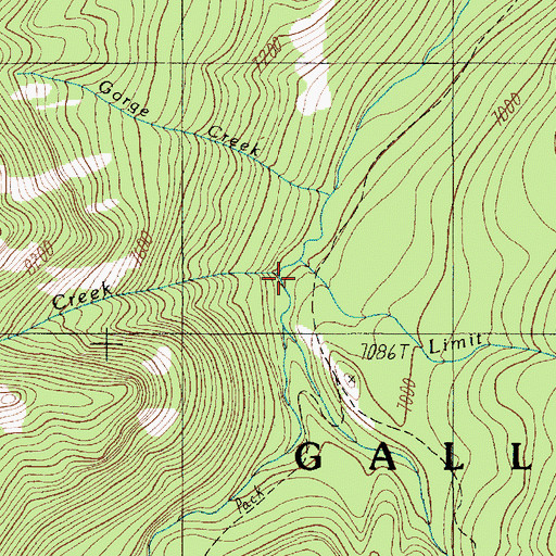 Topographic Map of Limit Creek, MT