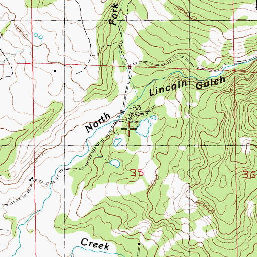 Topographic Map of Lincoln Gulch, MT