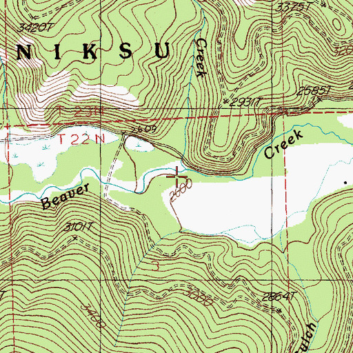 Topographic Map of Lion Creek, MT