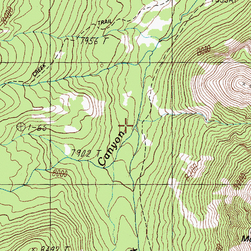 Topographic Map of Lion Creek, MT