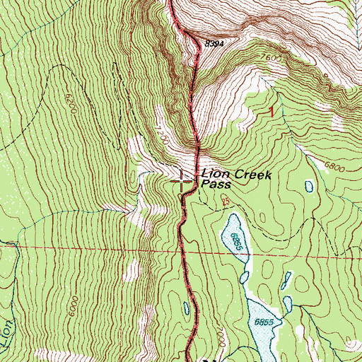 Topographic Map of Lion Creek Pass, MT