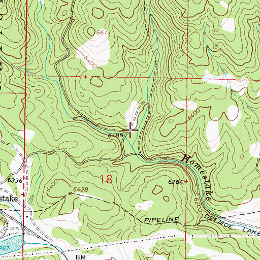 Topographic Map of Lion Gulch, MT