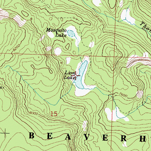 Topographic Map of Lion Lake, MT