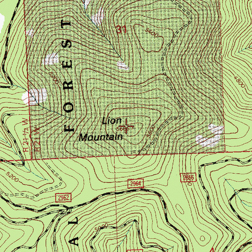 Topographic Map of Lion Mountain, MT