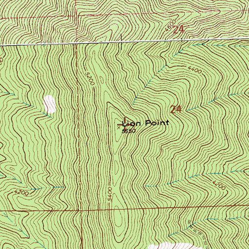 Topographic Map of Lion Point, MT