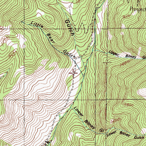 Topographic Map of Little Bear Gulch, MT