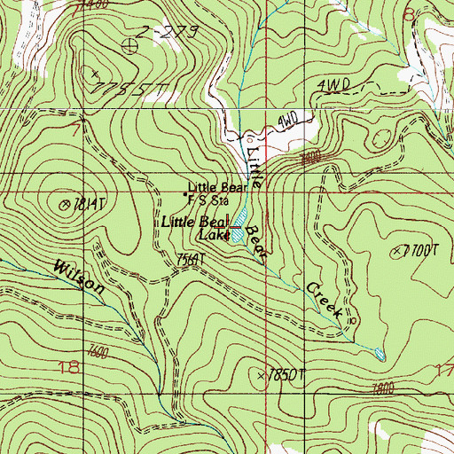 Topographic Map of Little Bear Lake, MT