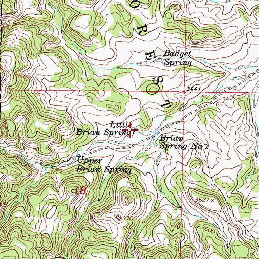 Topographic Map of Little Brian Spring, MT