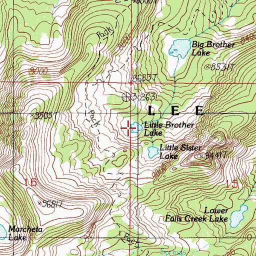 Topographic Map of Little Brother Lake, MT