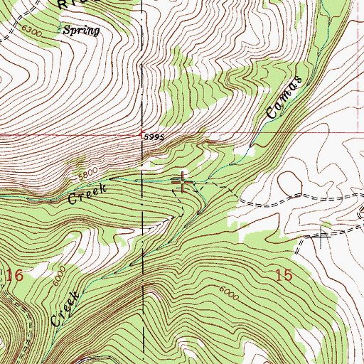 Topographic Map of Little Camas Creek, MT