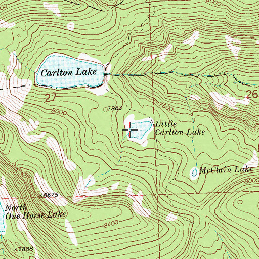Topographic Map of Little Carlton Lake, MT