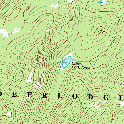 Topographic Map of Little Fish Lake, MT