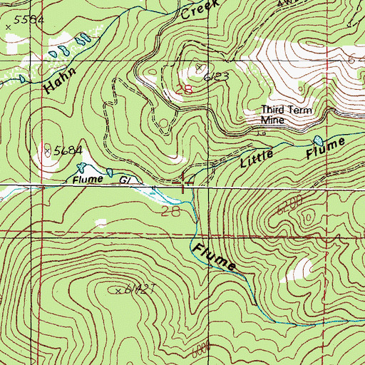 Topographic Map of Little Flume Gulch, MT