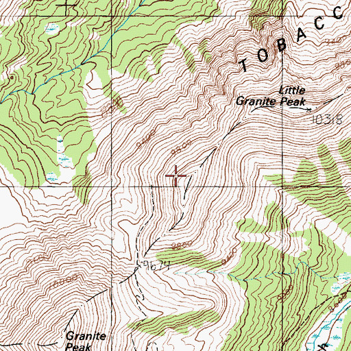 Topographic Map of Little Granite Peak, MT