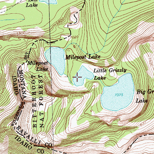 Topographic Map of Little Grizzly Lake, MT