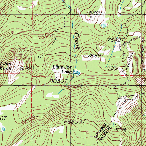 Topographic Map of Little Joe Lake, MT