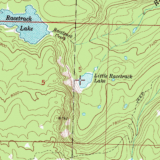 Topographic Map of Little Racetrack Lake, MT