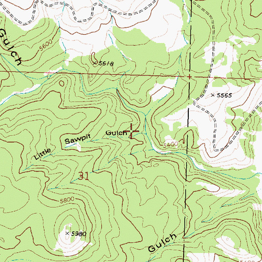 Topographic Map of Little Sawpit Gulch, MT