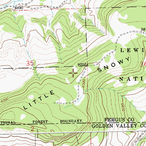 Topographic Map of Little Snowy Mountains, MT