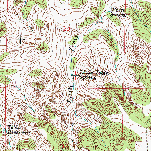 Topographic Map of Little Tobin Spring, MT