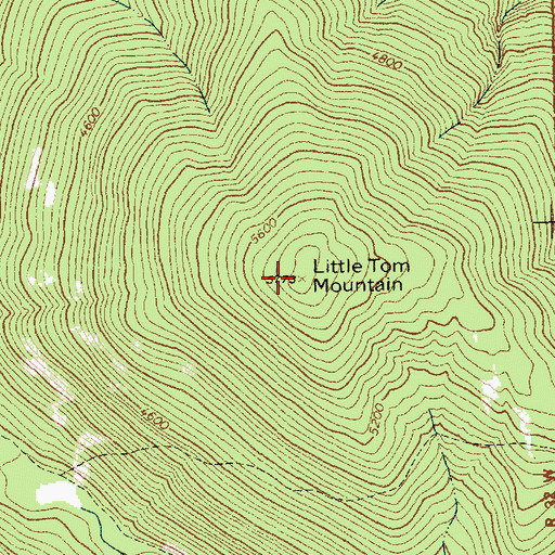Topographic Map of Little Tom Mountain, MT