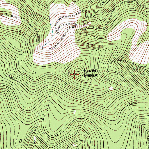 Topographic Map of Liver Peak, MT