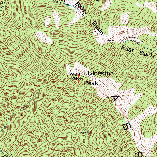 Topographic Map of Livingston Peak, MT