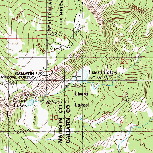 Topographic Map of Lizard Lakes, MT