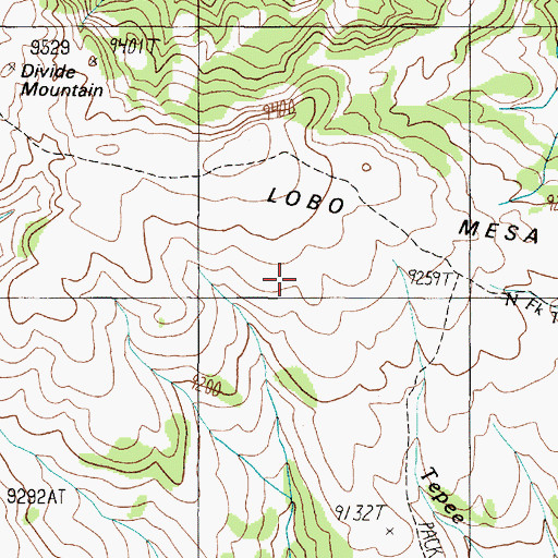 Topographic Map of Lobo Mesa, MT