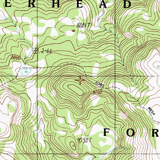 Topographic Map of Lobo Mesa Pack Trail, MT