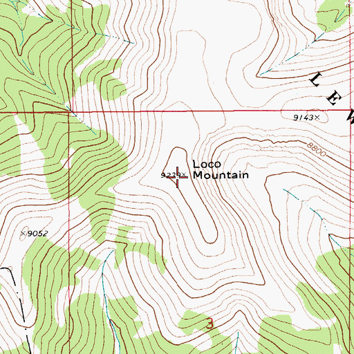 Topographic Map of Loco Mountain, MT
