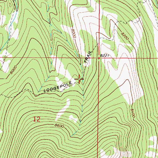 Topographic Map of Lodgepole Trail, MT