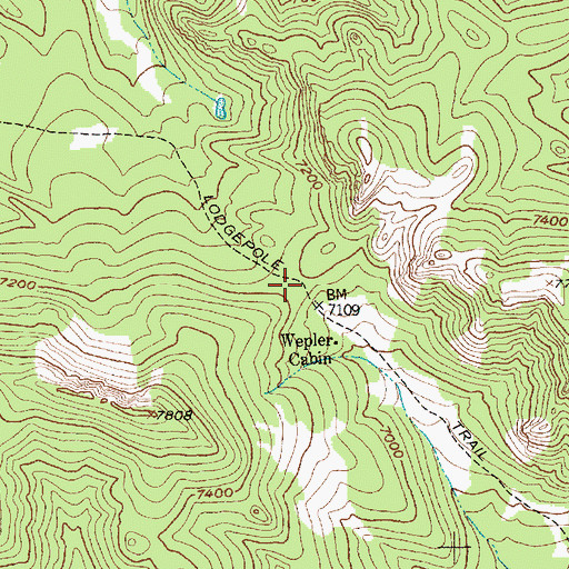 Topographic Map of Lodgepole Trail, MT