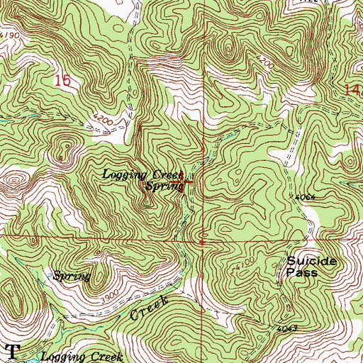 Topographic Map of Logging Creek Spring, MT