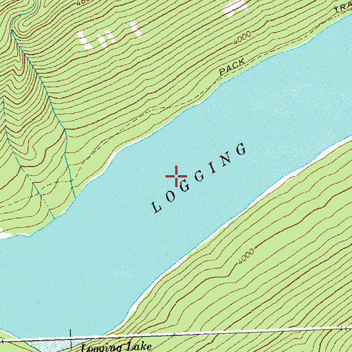 Topographic Map of Logging Lake, MT