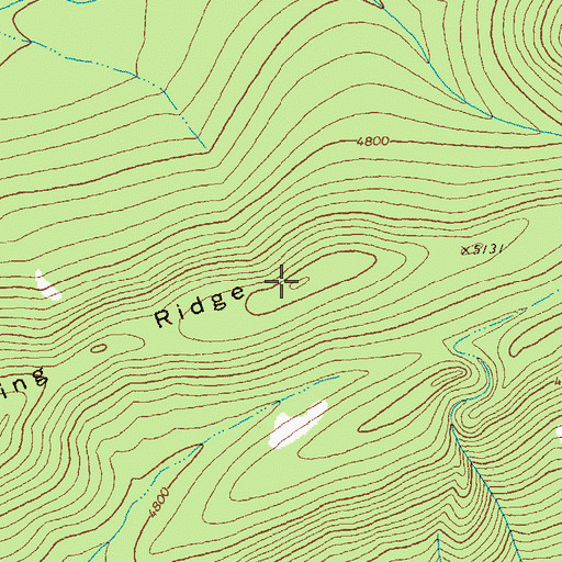 Topographic Map of Logging Ridge, MT