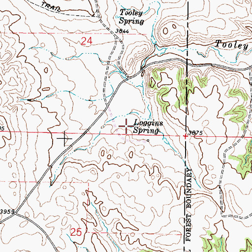 Topographic Map of Loggins Spring, MT