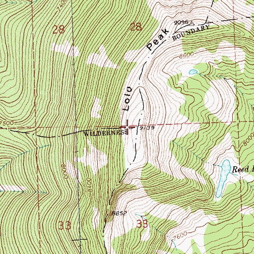 Topographic Map of Lolo Peak, MT