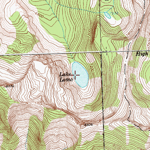 Topographic Map of Lomo Lake, MT