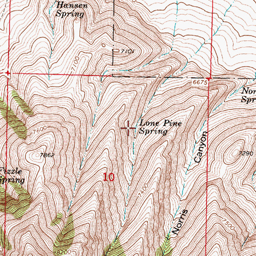 Topographic Map of Lone Pine Spring, MT