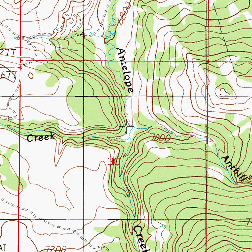 Topographic Map of Lone Tree Creek, MT