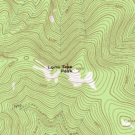 Topographic Map of Lone Tree Peak, MT