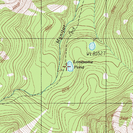 Topographic Map of Lonesome Pond, MT