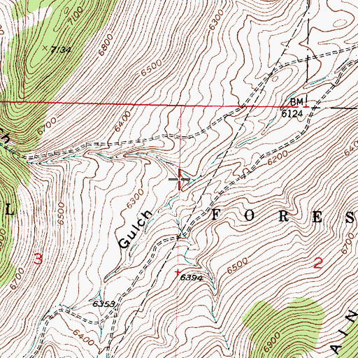 Topographic Map of Long John Gulch, MT